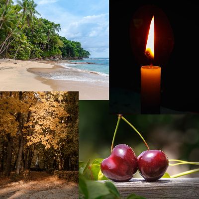 Zoom oil painting project