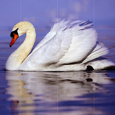 Zoom oil painting project